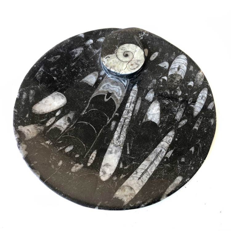 Fossil Marble Sink-EWS2202